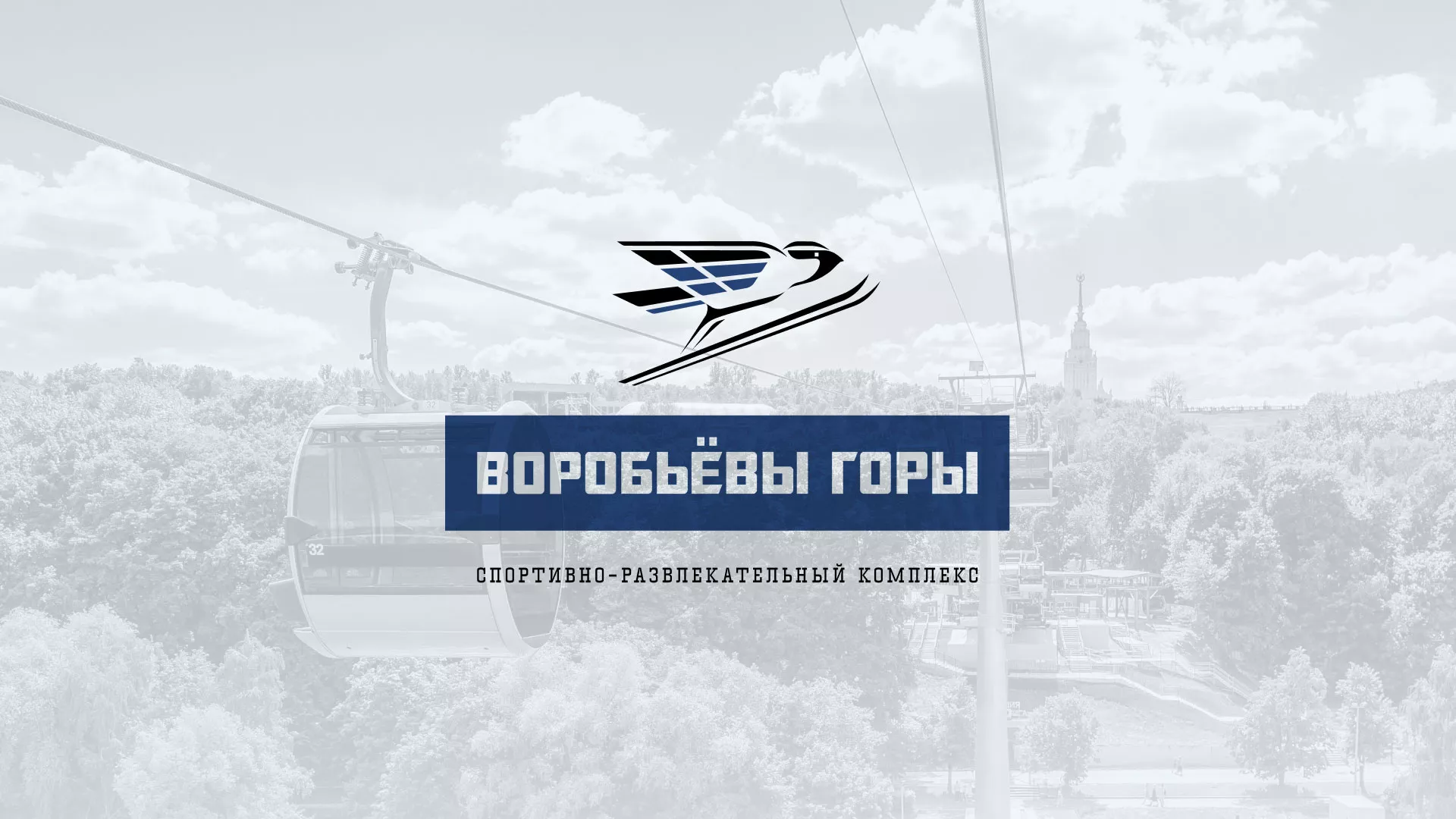 Разработка сайта в Дзержинском для спортивно-развлекательного комплекса «Воробьёвы горы»