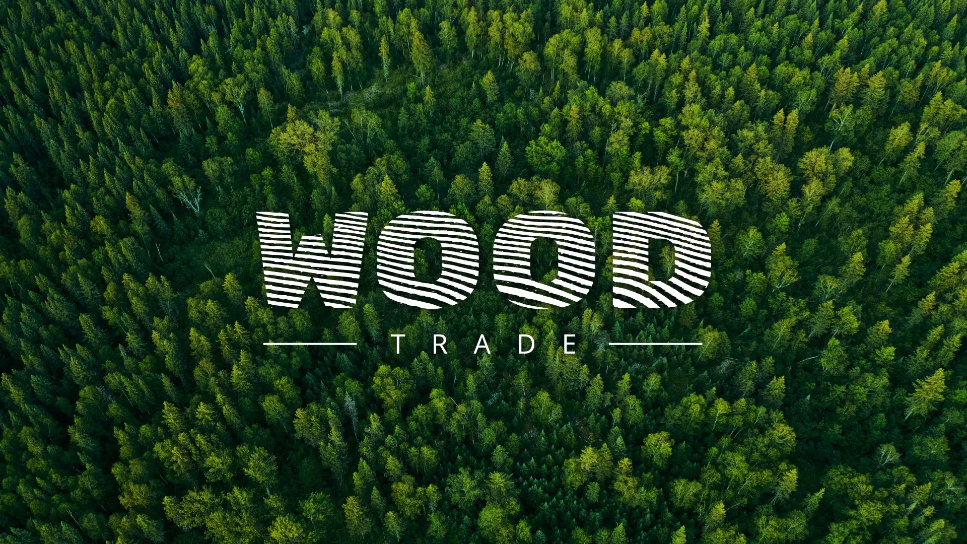 Разработка интернет-магазина компании «Wood Trade» в Дзержинском