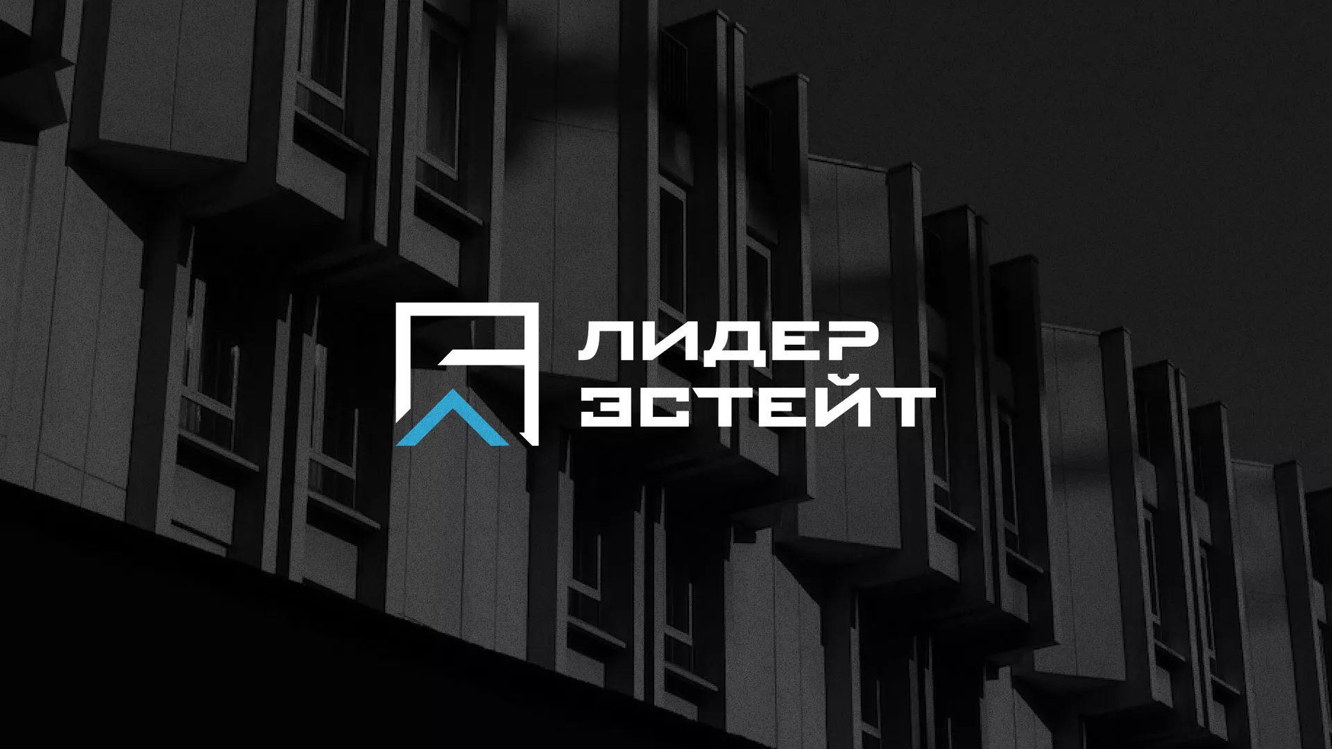 Разработка логотипа агентства недвижимости «Лидер Эстейт» в Дзержинском