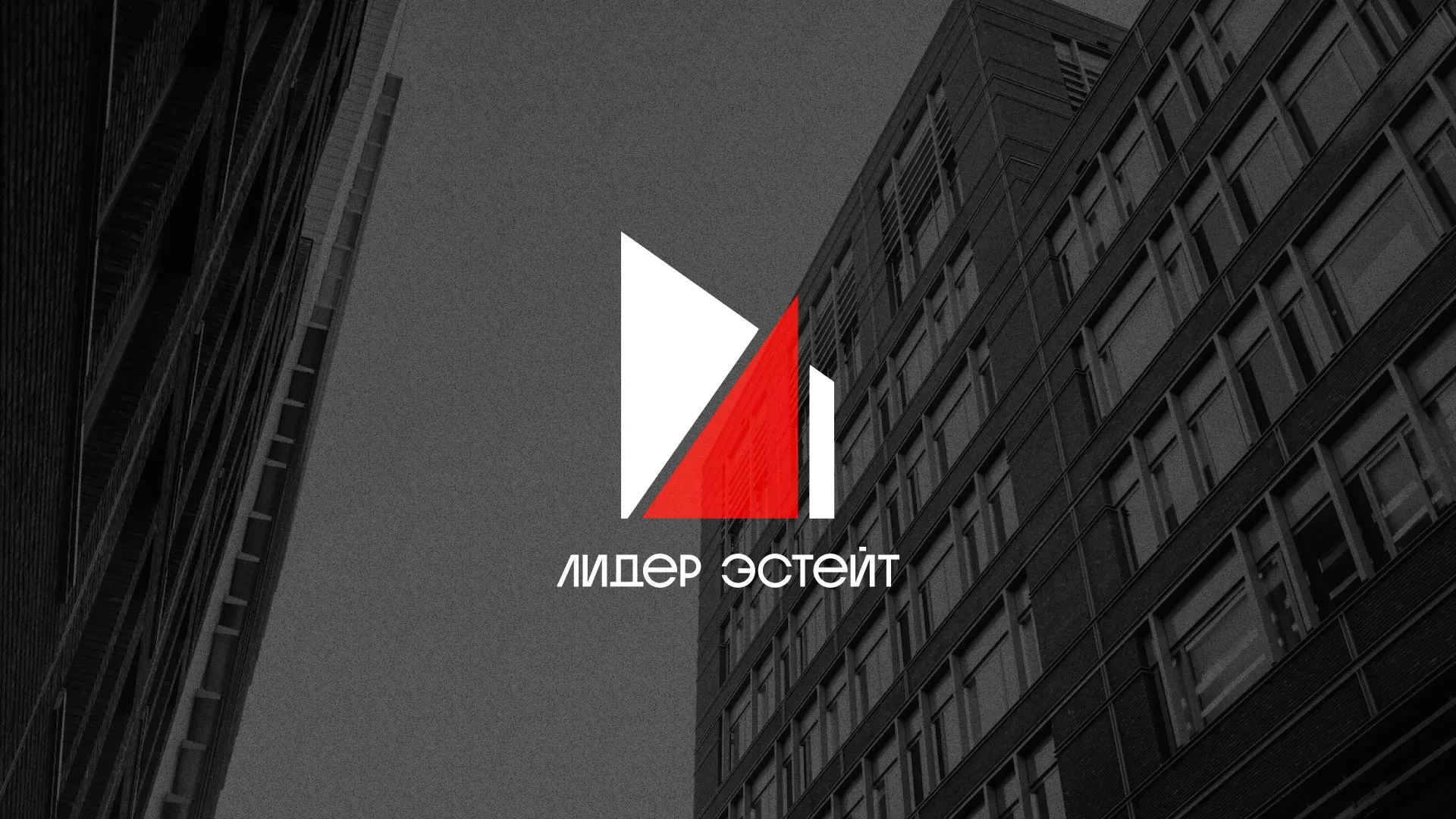 Сделали логотип для агентства недвижимости «Лидер Эстейт» в Дзержинском