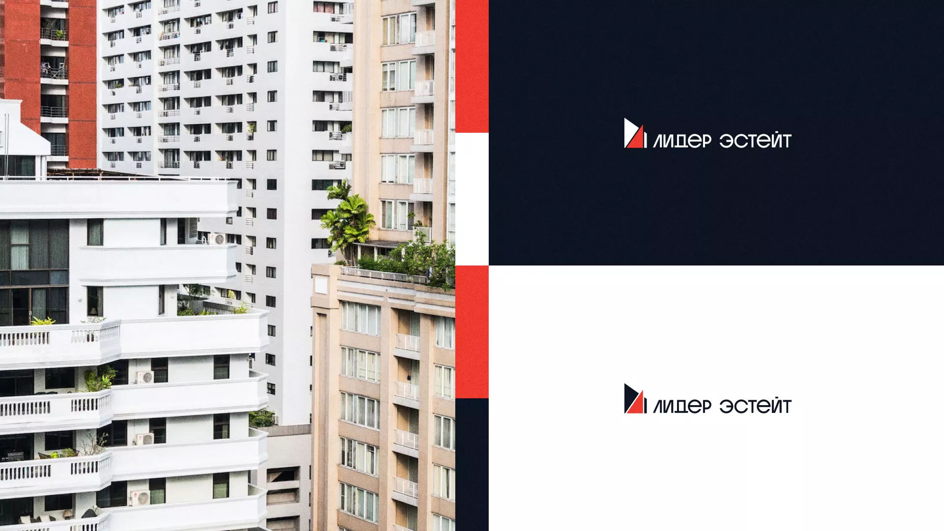 Сделали логотип для агентства недвижимости «Лидер Эстейт» в Дзержинском
